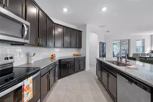 20076 Azul Marble Loop, Land O Lakes, FL 34638 - Photo 17