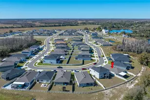 20076 Azul Marble Loop, Land O Lakes, FL 34638 - Photo 7