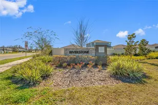 20076 Azul Marble Loop, Land O Lakes, FL 34638 - Photo 3