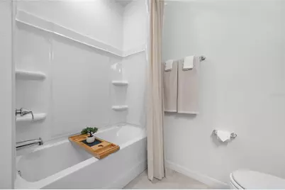 20076 Azul Marble Loop, Land O Lakes, FL 34638 - Photo 59