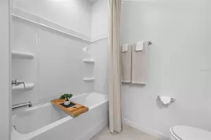 20076 Azul Marble Loop, Land O Lakes, FL 34638 - Photo 59