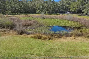 10100 Frierson Lake Dr, Hudson, FL 34669 - Photo 47