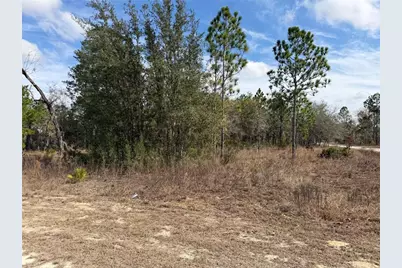 16426 Courlan Road, Brooksville, FL 34614 - Photo 7