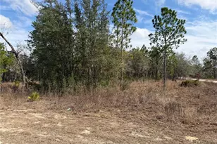 16426 Courlan Rd, Brooksville, FL 34614 - Photo 7