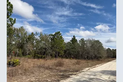 16426 Courlan Road, Brooksville, FL 34614 - Photo 9