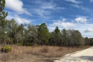 16426 Courlan Rd, Brooksville, FL 34614 - Photo 9