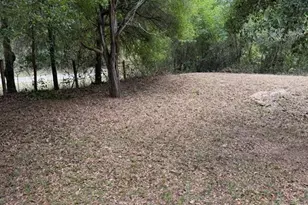 10405 Jungle St, New Port Richey, FL 34654 - Photo 25