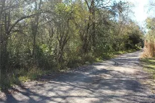 10405 Jungle St, New Port Richey, FL 34654 - Photo 19