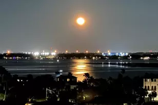 880 Mandalay Ave, Clearwater Beach, FL 33767 - Photo 29