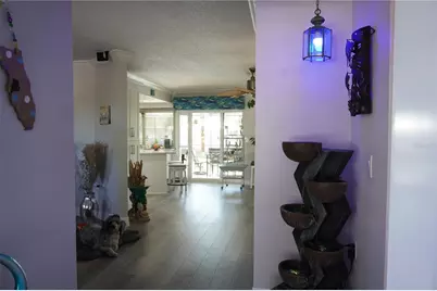 908 Sago Palm Way, Apollo Beach, FL 33572 - Photo 27