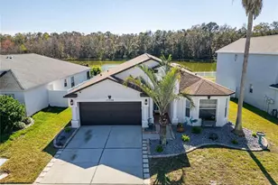 25508 Bruford Blvd, Land O Lakes, FL 34639 - Photo 49