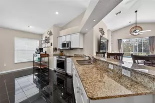 25508 Bruford Blvd, Land O Lakes, FL 34639 - Photo 13