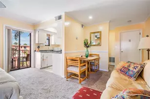 6800 Sunset Way, Saint Pete Beach, FL 33706 - Photo 43