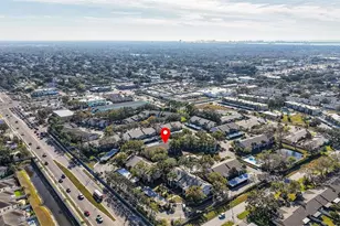 2150 Elm St, Dunedin, FL 34698 - Photo 31