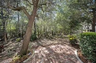 9614 Charlesberg Dr, Tampa, FL 33635 - Photo 29