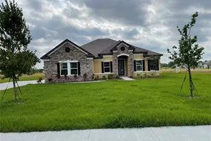 10067 Dolphin Gull Cir, Thonotosassa, FL 33592 - Photo 1