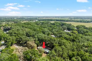 8742 Brazil, Zephyrhills, FL 33540 - Photo 41