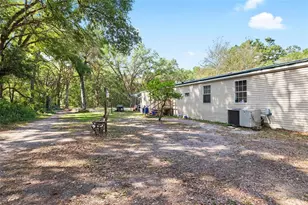 8742 Brazil, Zephyrhills, FL 33540 - Photo 33