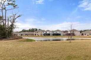 2891 Lotus Flower Trl, Wesley Chapel, FL 33543 - Photo 29