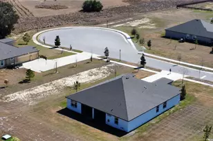 10190 Dolphin Gull Cir, Thonotosassa, FL 33592 - Photo 49