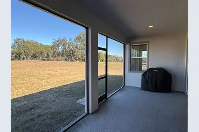 10190 Dolphin Gull Circle, Thonotosassa, FL 33592 - Photo 41