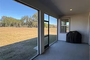 10190 Dolphin Gull Cir, Thonotosassa, FL 33592 - Photo 41