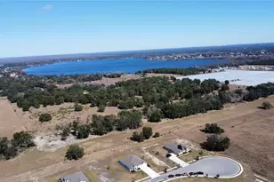 10190 Dolphin Gull Cir, Thonotosassa, FL 33592 - Photo 57