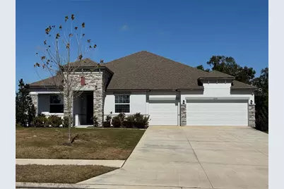 10190 Dolphin Gull Circle, Thonotosassa, FL 33592 - Photo 1
