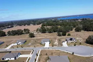 10190 Dolphin Gull Cir, Thonotosassa, FL 33592 - Photo 55