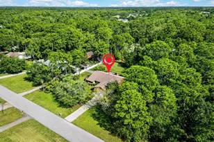 6938 Coronet Dr, New Port Richey, FL 34655 - Photo 43