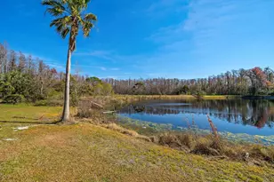 18419 Tyler Rd, Odessa, FL 33556 - Photo 5