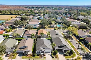 19413 Golden Slipper Pl, Lutz, FL 33558 - Photo 35