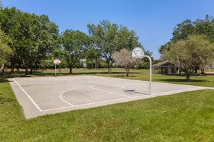 19413 Golden Slipper Pl, Lutz, FL 33558 - Photo 39