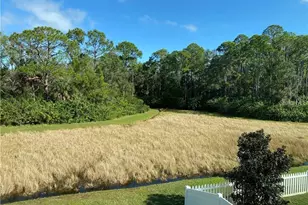 11333 Quiet Forest Dr, Tampa, FL 33635 - Photo 17