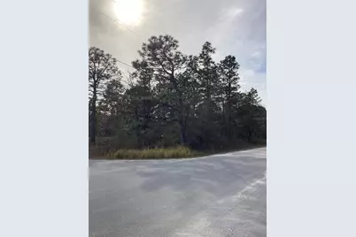 12449 Indigo Bunting, Weeki Wachee, FL 34614 - Photo 3