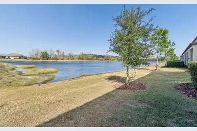 21843 Adriatic Lane, Land O Lakes, FL 34637 - Photo 47