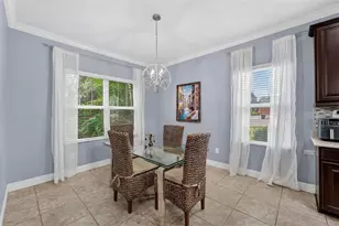 7032 Old Benton Dr, Apollo Beach, FL 33572 - Photo 27