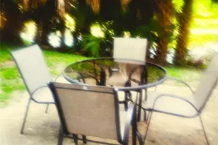 701 S Madison Ave, Clearwater, FL 33756 - Photo 17