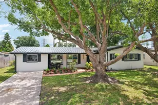 311 Shore Dr E, Oldsmar, FL 34677 - Photo 43