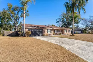 1410 Viola Dr, Brandon, FL 33511 - Photo 7