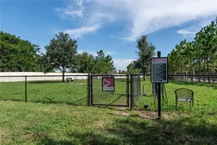 16619 Mooner Plank Cir, Wimauma, FL 33598 - Photo 91