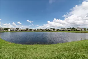 16619 Mooner Plank Cir, Wimauma, FL 33598 - Photo 63
