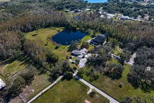 18409 Tyler Rd, Odessa, FL 33556 - Photo 61