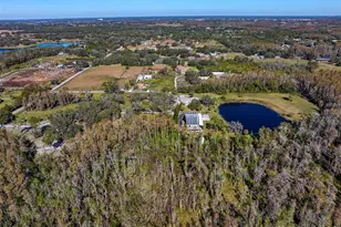 18409 Tyler Rd, Odessa, FL 33556 - Photo 63