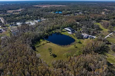 18409 Tyler Road, Odessa, FL 33556 - Photo 65