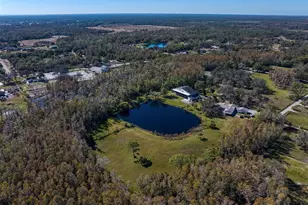 18409 Tyler Rd, Odessa, FL 33556 - Photo 65