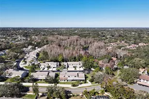 602 Quail Keep Dr, Safety Harbor, FL 34695 - Photo 37