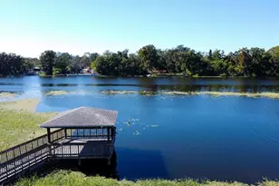 4129 Dolphin Dr, Tampa, FL 33617 - Photo 3