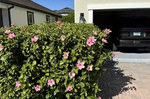 18023 Fenders Wy, Land O Lakes, FL 34638 - Photo 39