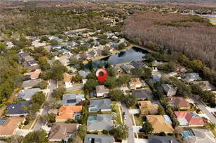5292 Kernwood Ct, Palm Harbor, FL 34685 - Photo 89